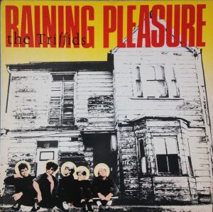 The Triffids - Raining Pleasure (1984)
