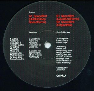 System 7 - Space Bird (2008)