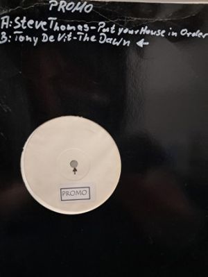 Steve Thomas / Tony De Vit - Put Your House In Order / The Down (1998)