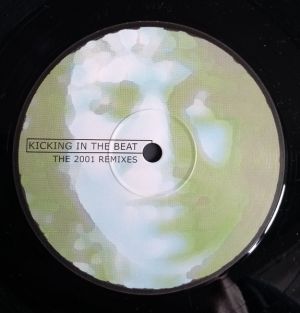 Pamela Fernandez - Kicking In The Beat (The 2001 Remixes) (2001)