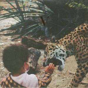 Unknown Mortal Orchestra - V (2023)