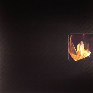 Endian - Birdhouse / DBPLT01 (2012)