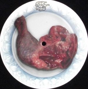 Dose 97 - Two In One Mind