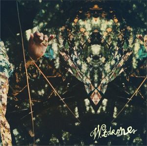 W.T.Drones - W.T.Drones EP (2014)