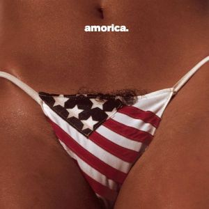 The Black Crowes - Amorica (2015)