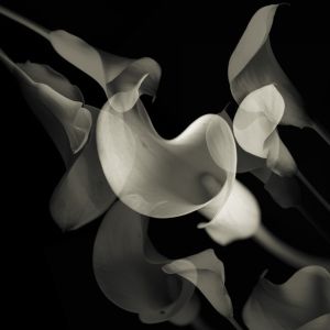 Ada Kaleh / Sepp (2) - Edith EP (2016)