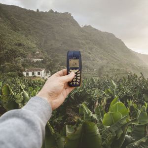 T9 (3) - R.I.F.F.A. (2016)